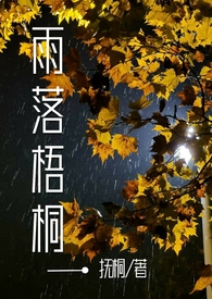 雨落梧桐小说免费